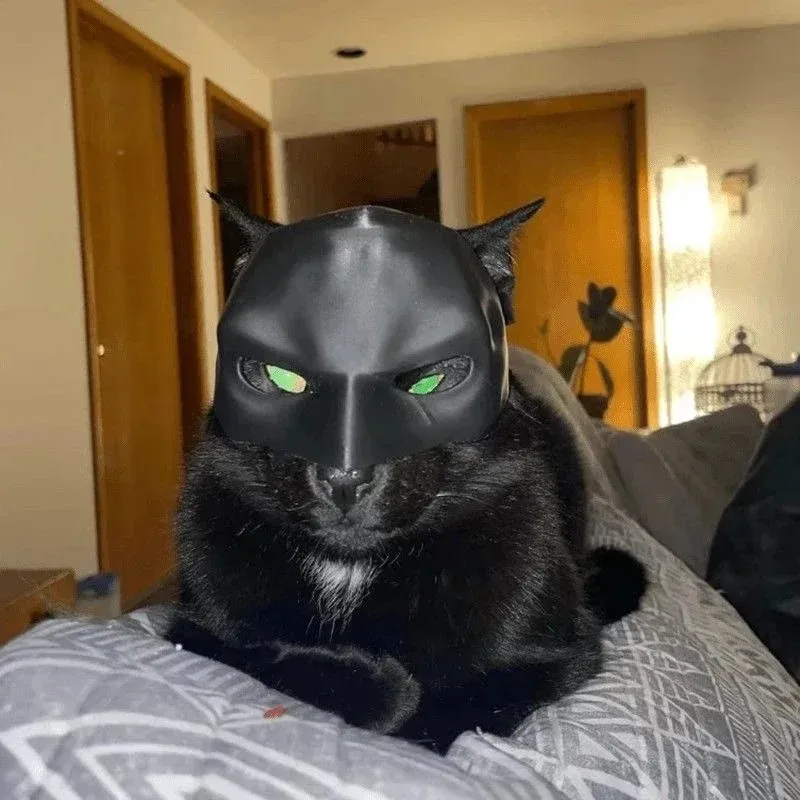3D Printing Foto - 3D-Gedruckte Katzen-Rächer-Maske Fledermaus-Cosplay-Hut Hochwertiges Haustier-Accessoire Lustiges